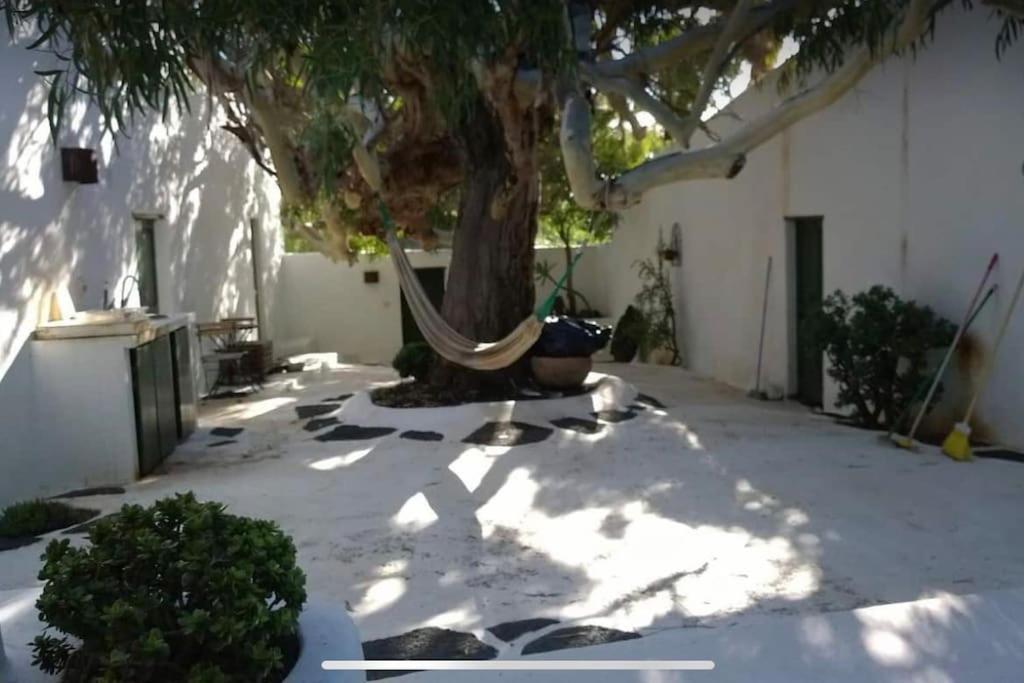 Lovely Studio In Original Finca La Asomada  ภายนอก รูปภาพ